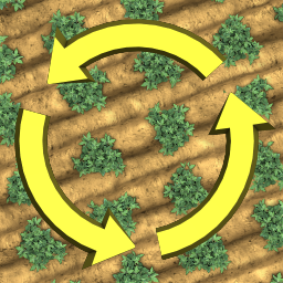 Crop Rotation
