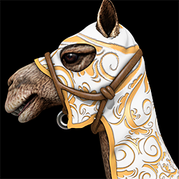 Camel Rider
